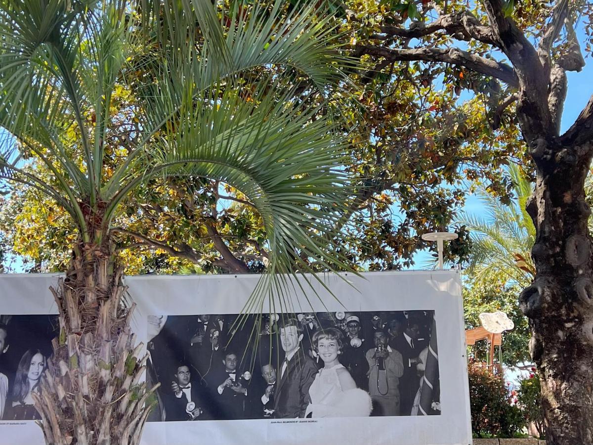 Appartamento Sci Camille Cannes Esterno foto